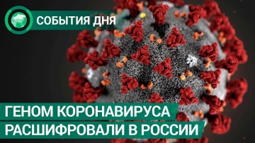В России расшифровали геном коронавируса. События дня. ФАН-ТВ
